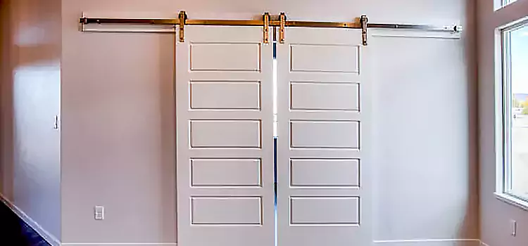 Glass Barn Door with Installation Hardware Kit Deerfield Beach